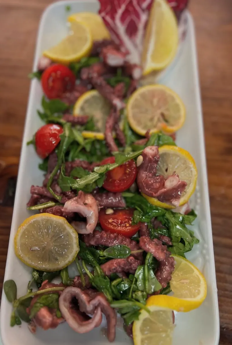 Octopus arugula